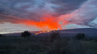 Penampakan lahar Zona Rift Timur Laut Gunung Mauna Loa yang meletus mengirimkan aliran lava ke lereng utara menuju Saddle Road di Hawaii, Selasa (29/11/2022). [Handout / US Geological Survey / AFP]