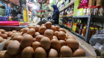 Perhatian Emak-emak!! Harga Telur Mulai Turun di Bawah Rp 30.000/kg
