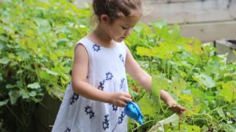 Ayo Ajak Anak Berkebun, Ini 4 Manfaatnya