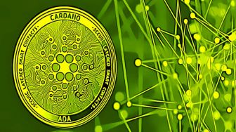 Address Staking Crypto Cardano Bertambah Lebih dari 20 Ribu, Ini Faktanya!