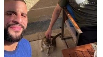 Tersingkir dari Piala Dunia 2022, Pemain Inggris Pulang Bawa Kucing