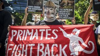 Pengunjuk rasa yang tergabung dalam Koalisi Primates Fight Back menggelar aksi teatrikal di depan Kantor Kementerian LHK, Jakarta, Senin (12/12/2022). Mereka mendesak pemerintah segera menetapkan monyet sebagai satwa dilindungi. [ANTARA FOTO/Galih Pradipta].