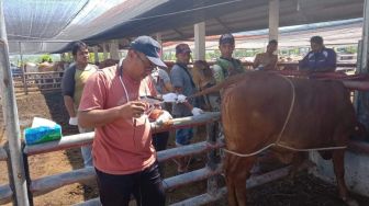 UPTD IBI Dinas Peternakan Aceh Perkenalkan Teknologi Visual Inseminasi