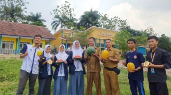 Budidaya Melon Kuning di SMKN 1 Karangtengah Pupuk Jiwa Wirausaha Siswa