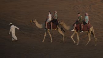 Wisatawan menaiki Unta saat berwisata gurun pasir di Dubai, Uni Emirat Arab, Kamis (15/12/2022).  ANTARA FOTO/Wahyu Putro 
