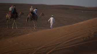 Wisatawan menaiki Unta saat berwisata gurun pasir di Dubai, Uni Emirat Arab, Kamis (15/12/2022). [ANTARA FOTO/Wahyu Putro A/YU]