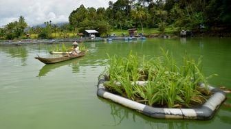 Nelayan melintas di kawasan konservasi Wetland, Danau Maninjau, Jorong Tanjung Sani, Nagari Sungai Batang, Kabupaten Agam, Sumatera Barat, Sabtu (17/12/2022). [ANTARA FOTO/Iggoy el Fitra/rwa]