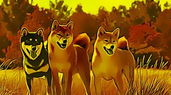 Shiba Inu, Dogecoin dan Dogeliens Akan Saling Bersaing di Sektor Memecoin
