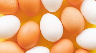 5 Jenis Telur yang Biasa Dikonsumsi di Indonesia