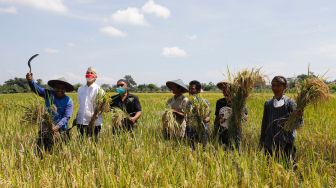 Ganjar Dorong Penyaluran Pupuk Subsidi Tepat Sasaran ke Petani Membutuhkan