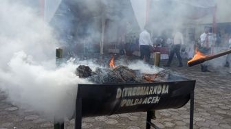 Polda Aceh Musnahkan 36 Kg Sabu dan 411 Kg Ganja