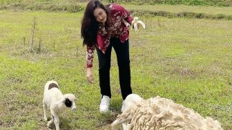 Ngangon Kambing Sampai Peluk Wong Cilik, Simak 10 Pesona Nafa Urbach Terjun ke Dunia Politik