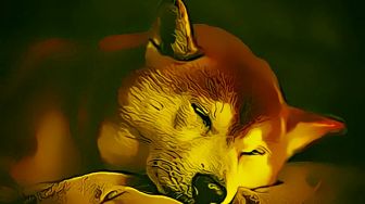 Ramalan Harga SHIB Januari 2023