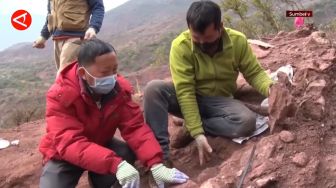 Arkeolog Temukan Fosil Dinosaurus di Yunnan, China