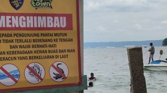 Peringatan Bagi Warga yang Berlibur di Pantai Bandar Lampung, Waspada Buaya Berkeliaran