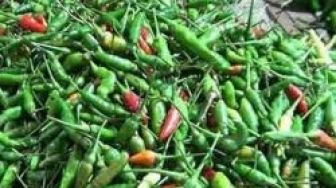 Tahun Baru, Harga dan Ketersediaan Pangan Terkendali
