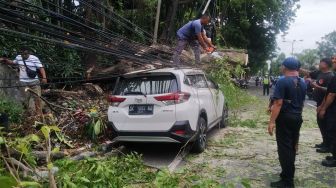 Angin Kencang Landa Denpasar Sebabkan Pohon Bertumbangan, Mobil Parkir Tertimpa