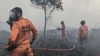 BMKG Ingatkan Bahaya Kebakaran Lahan dan Hutan saat Kemarau Melanda Kalimantan Beberapa Pekan Mendatang