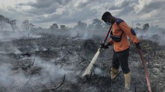 Dibayar Rp 100 Ribu, Ayah-Anak Di Riau Bakar 4 Hektare Kawasan Hutan
