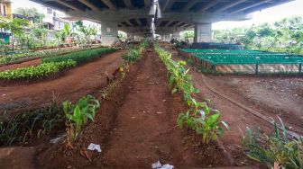 Suasana di sebuah taman yang ada di Kolong Tol Becakayu, Kalimalang, Jakarta Timur, Selasa (3/1/2023). [Suara.com/Alfian Winanto]