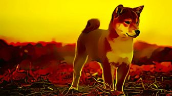 Percaya Nggak Percaya, Ini Prediksi Harga Shiba Inu Akhir Januari 2023