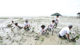 Jaga Ekosistem Pantai, OMG Kalbar Tanam 500 Bibit Mangrove di Mempawah