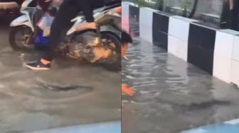 Melintas di Jalanan Banjir, Pengendara Motor Ini Dikejutkan dengan Biawak