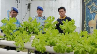 Budidaya Hidroponik Warga Binaan di Lapas Kotabaru