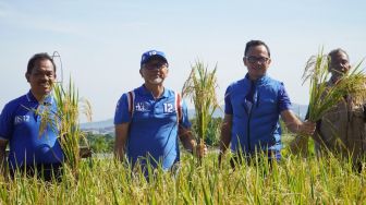 Zulhas Panen Padi Pertama 2023 di Mulyaharja Bogor