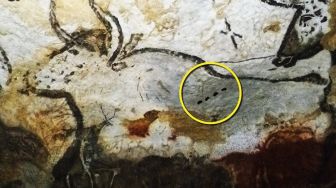 Masih Jadi Pertentangan, 'Titik-titik' Lukisan Gua Berusia 20.000 Tahun Tulisan Pertama