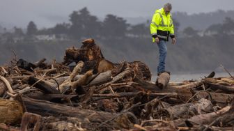 Seorang pria melihat pepohonan yang tersapu ke laut oleh badai dahsyat dan terdampar di pantai Capitola, California, Amerika Serikat Minggu (15/1/2023). [DAVID MCNEW / AFP]