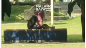 Kejadian Lagi, Sejoli Tak Malu Bermesraan di Alun-alun Kota Malang Langsung Digaruk Satpol PP