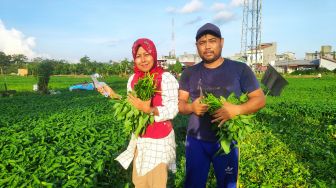 Tinggalkan Kerjaan Kantoran, Lestari Pilih Jadi Petani Kangkung: Penghasilan Lebih Besar!