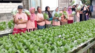 Manfaatkan Pekarangan Rumah untuk Tanam Sayuran Hidroponik