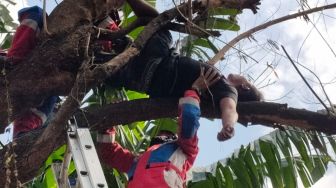 Halu Diikuti Orang hingga Tidur di Atas Pohon di Tambora, ABK Ini Ternyata Teler Berat Akibat Sabu dan Miras