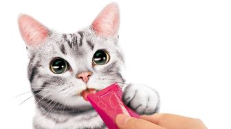 Dear Cat Lover, Ada Snack untuk Kucing 100% Ikan Asli dan Halal, Lho!