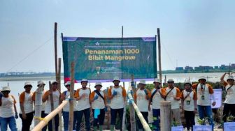 Penanaman Seribu Pohon Magrove, Lestarikan Alam di Kota Surabaya