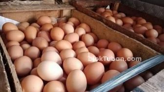 Telur di Tuban Turun Lagi Jadi Rp25.000, Daging Ayam Kini Rp30.000/Kilogram