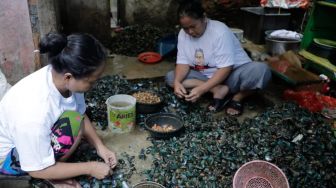 Kembangkan Komunitas UMKM di Kampung Kerang Cilincing, OMG Jakarta Beri Bantuan Alat Pengupas Kerang