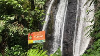 Curug Tebing di Pamijahan Bogor: Harga Tiket dan Lokasi