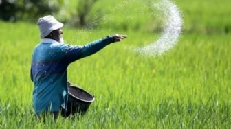 Tahun Ini, 16.770 Ton Pupuk Bersubsidi Disiapkan untuk Wilayah Banten