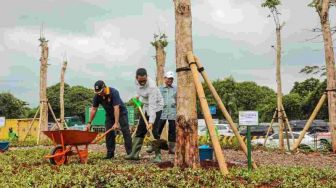 Demi KTT ASEAN, Heru Budi Bakal Rajin Tanam Pohon di Pinggir Jalan