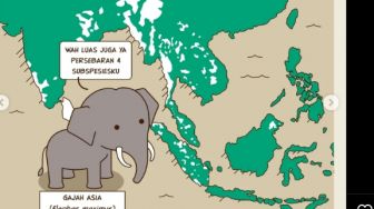 Harmoni Manusia Dan Gajah Sumatera Lanskap Padang Sugihan Dikampanyekan Dengan Komik Strip