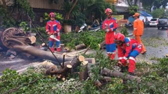 Kanami Mujur, Lolos jadi Korban Pohon Tumbang usai Loncat Keluar Bajaj