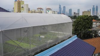 Penampakan rumah kaca untuk merawat tanaman hidroponik di atap Masjid Asy-Syifa, Rumah Sakit Cipto Mangunkusumo, Jakarta Pusat, Jumat (3/2/2023). ,[Suara.com/Alfian Winanto]