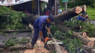 Pohon tumbang akibat angin kencang yang terjadi di Kota Depok, Jabar. [Dok.Damkar Depok]