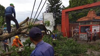 Pohon tumbang akibat angin kencang yang terjadi di Kota Depok, Jabar. [Dok.Damkar Depok]