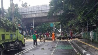 Hujan Angin di Jakarta, Empat Warga Luka Ringan Tertimpa Pohon Tumbang