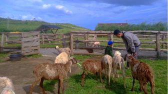 Menggala Ranch, Tempat Wisata Edukasi Berjuluk New Zealand of Java