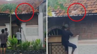 Penyelamatan Dramatis Bayi Merangkak di Atap Rumah, Ada yang Ragukan Keaslian Video